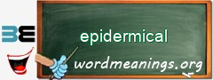 WordMeaning blackboard for epidermical